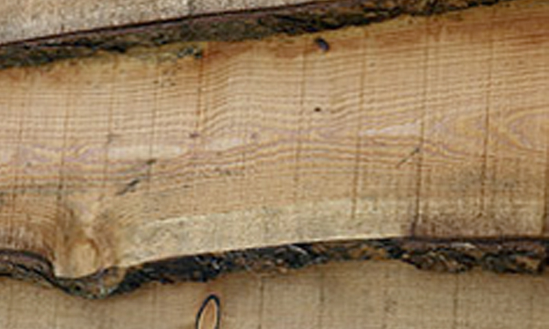 Cladding